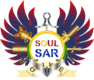 Soul SAR